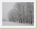 Andy Nay Japan Snowboarding Bandi Alti 360 64 * 2048 x 1536 * (1.45MB)